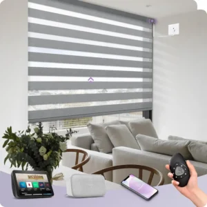 Motorized Zebra Blinds