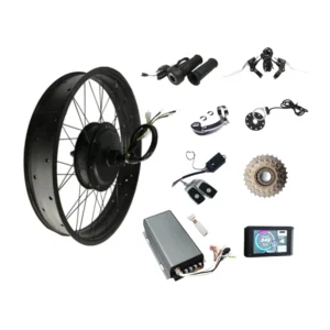 Electric Fat Bike - Rear Wheel Motor Conversion Kit